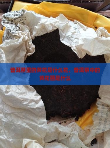 普洱茶里的黄花是什么花
