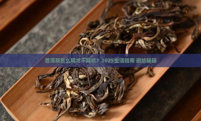 普洱茶的日常生活