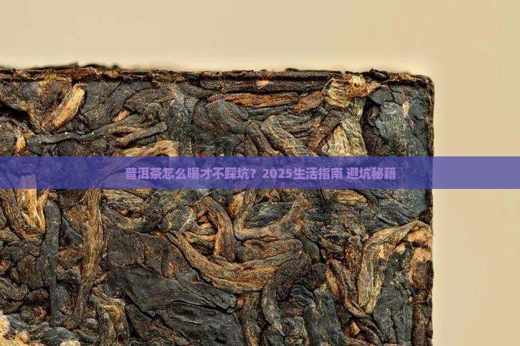 普洱茶的日常生活