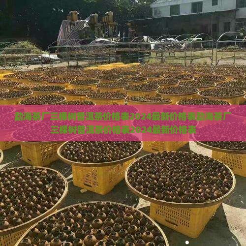 勐海茶厂三棵树普洱茶价格表