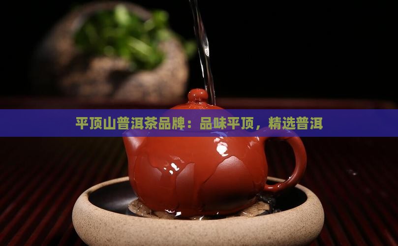 平顶山普洱茶品牌