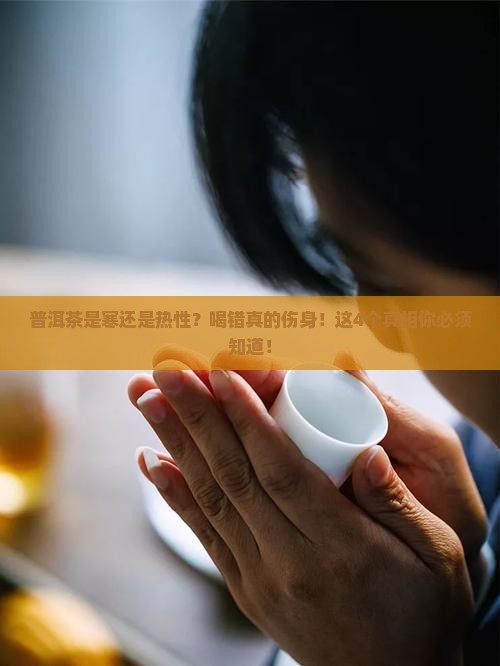 普洱茶是寒还是热性