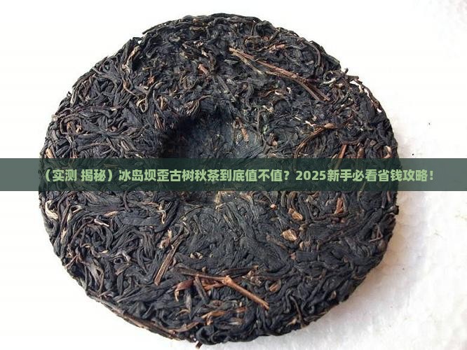 冰岛坝歪古树秋茶怎样