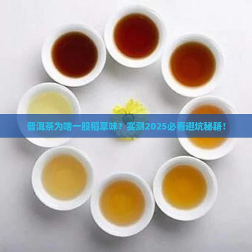 普洱茶一股稻草味