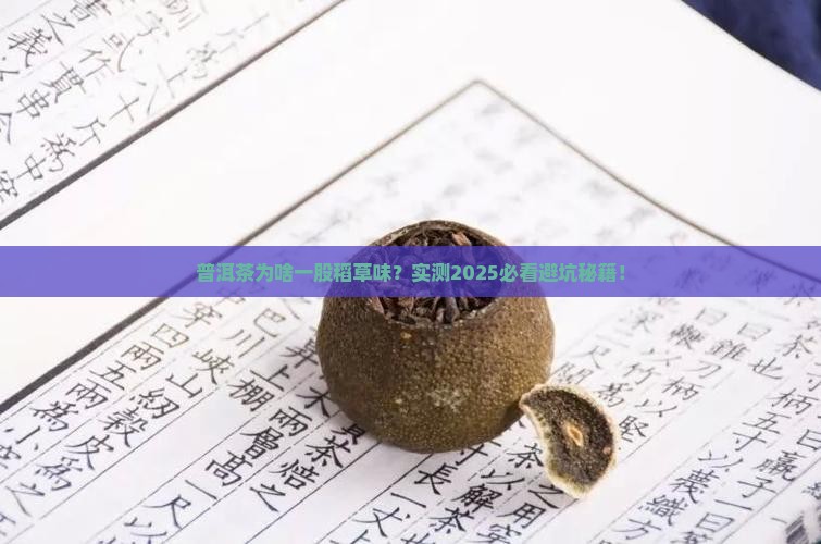 普洱茶一股稻草味