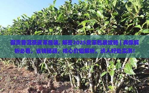 御贡普洱茶皮革包装