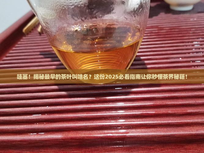 最早的茶叶名称