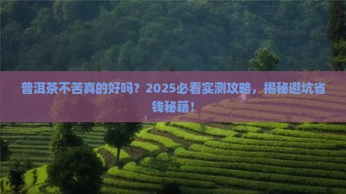 普洱茶不苦好吗