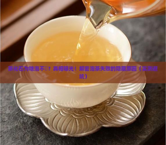 茶化石为什么泡不开