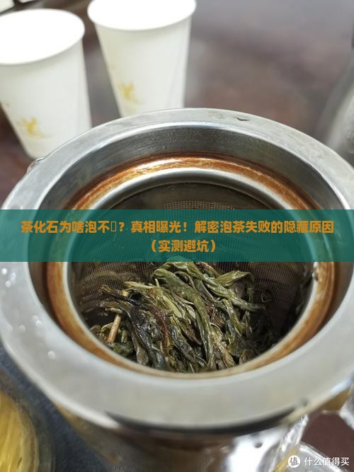 茶化石为什么泡不开