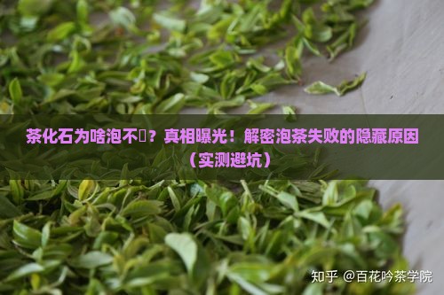 茶化石为什么泡不开