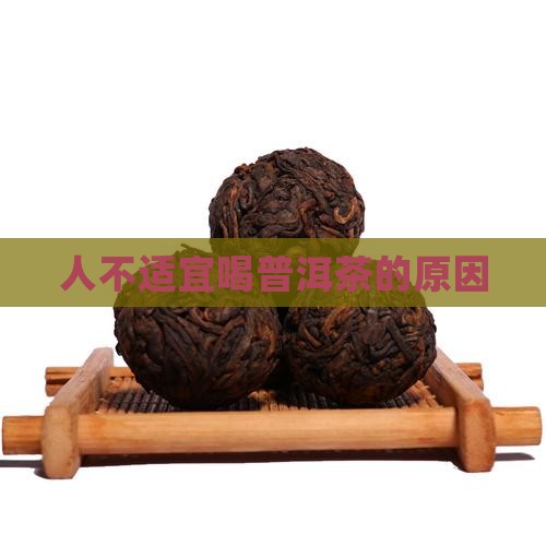 什么人不合适普洱茶