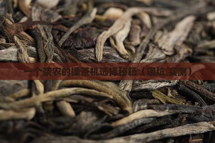 云南普洱茶揉茶机