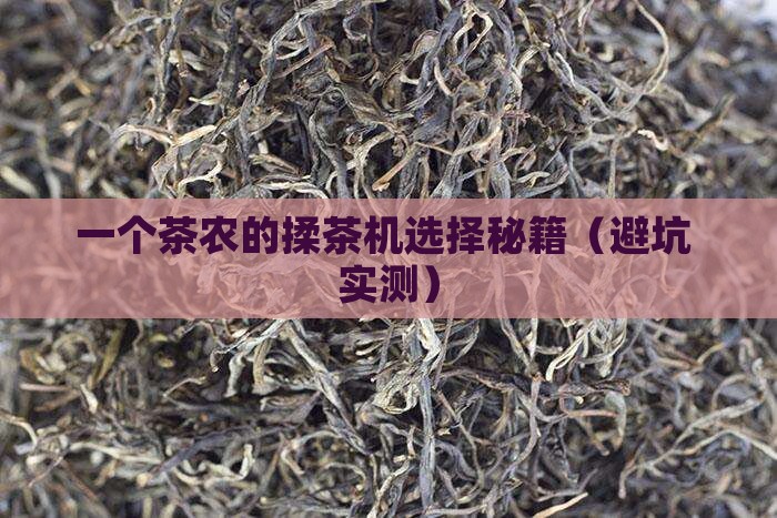 云南普洱茶揉茶机