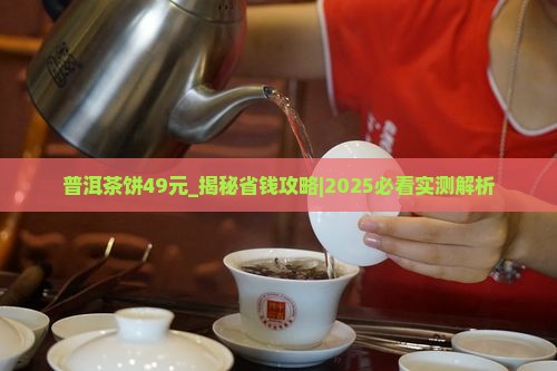 普洱茶饼49元