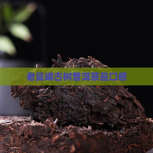 老曼峨甜普洱茶口感
