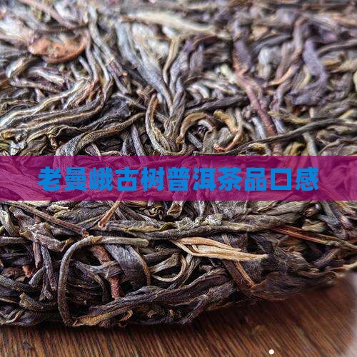 老曼峨甜普洱茶口感