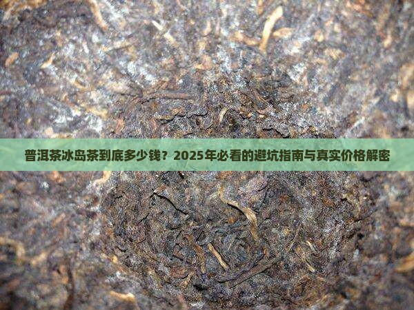普洱茶冰岛茶的价格