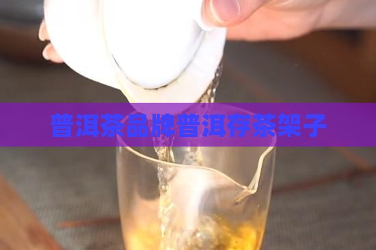 普洱茶存茶架子