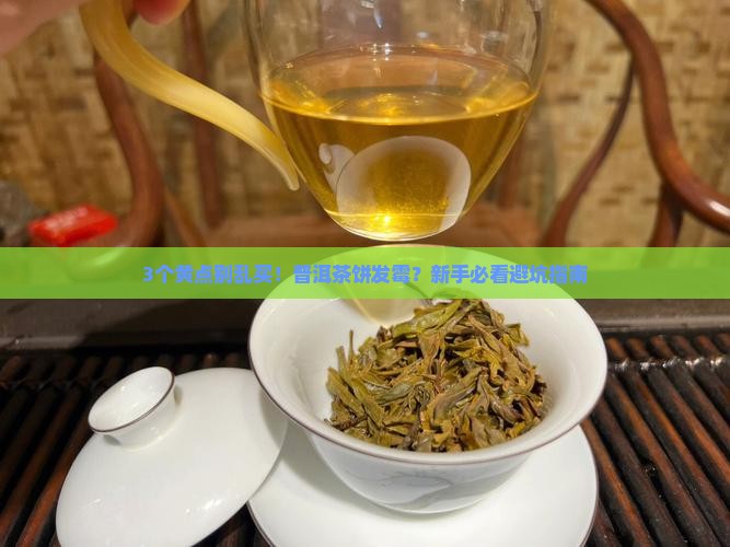 普洱茶饼有黄点是什么
