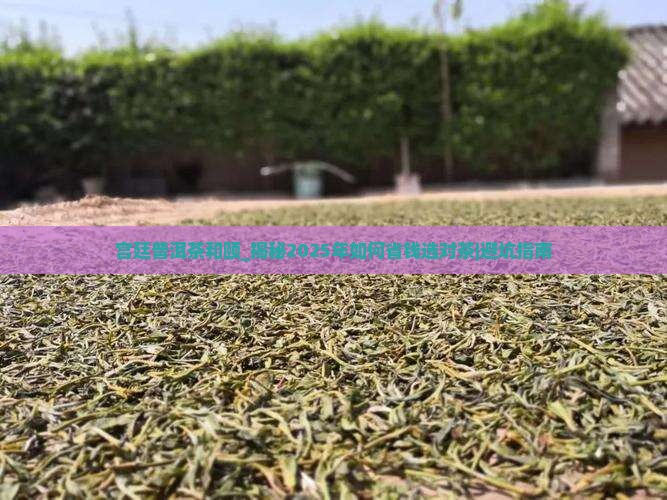 宫廷普洱茶和颐