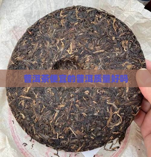 普洱茶便宜的质量好吗