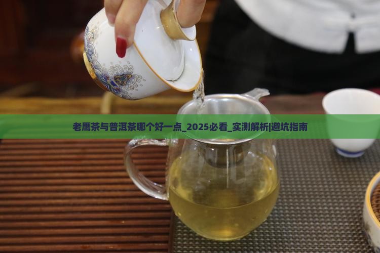 老鹰茶与普洱茶哪个好一点