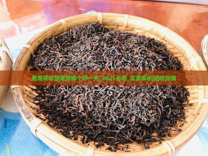 老鹰茶与普洱茶哪个好一点