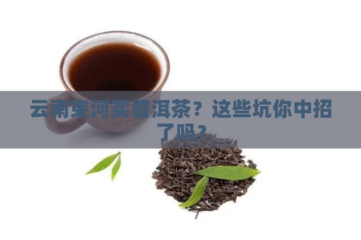 云南束河买普洱茶