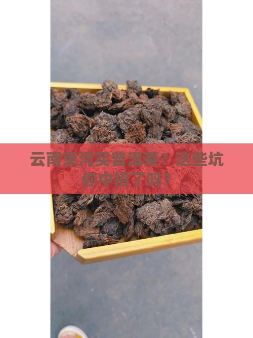 云南束河买普洱茶
