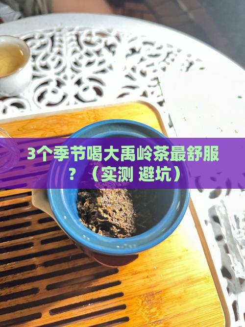 大禹岭茶什么季节喝
