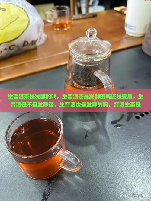 生普洱茶是发酵的吗