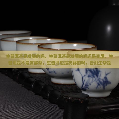 生普洱茶是发酵的吗