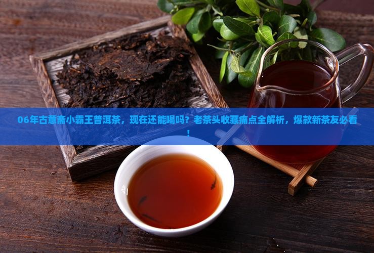 06年古意斋小霸王普洱茶