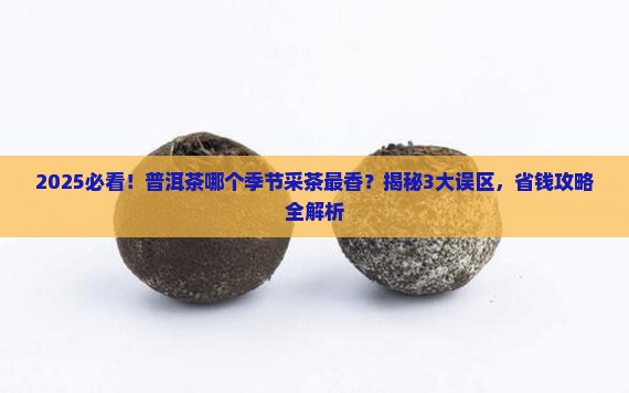 普洱茶哪个季节采茶