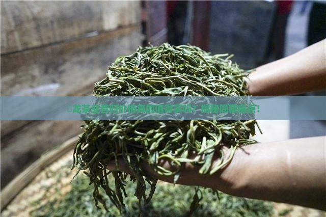 犇龙茶业昔归价格