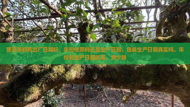 普洱茶都有出厂日期吗