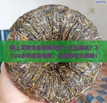 网上买普洱茶哪种好些