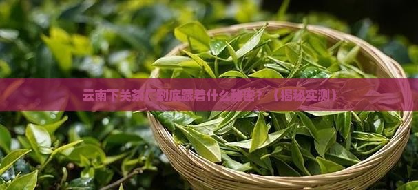 中国云南省下关茶厂