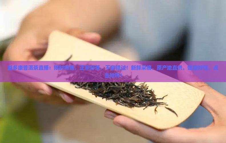 益多康普洱茶直播