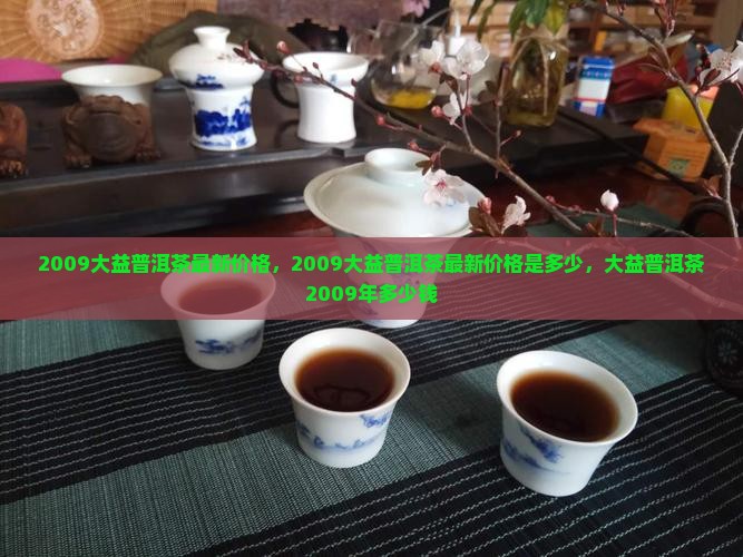 2009大益普洱茶最新价格