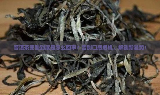 普洱茶变酸的原因