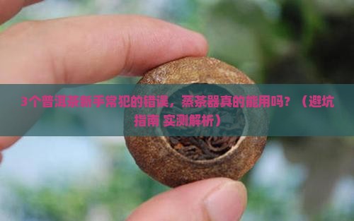 普洱茶能用蒸茶器么吗