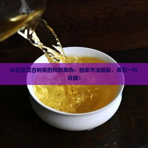 冰岛普洱古树茶的辨别真伪
