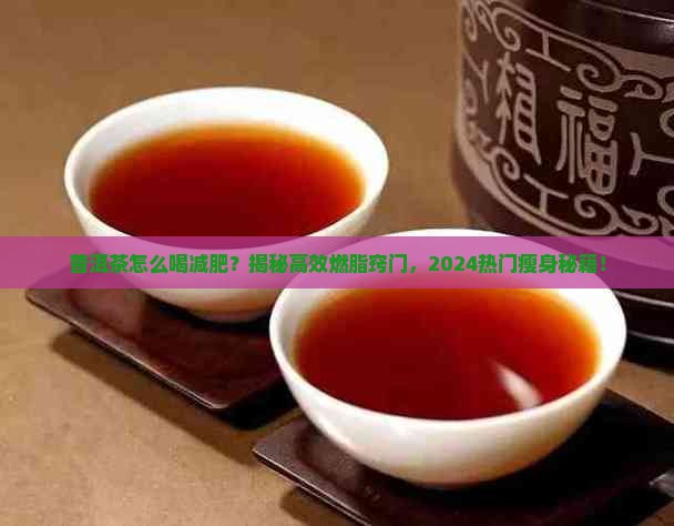 普洱茶怎么喝减肥食谱窍门