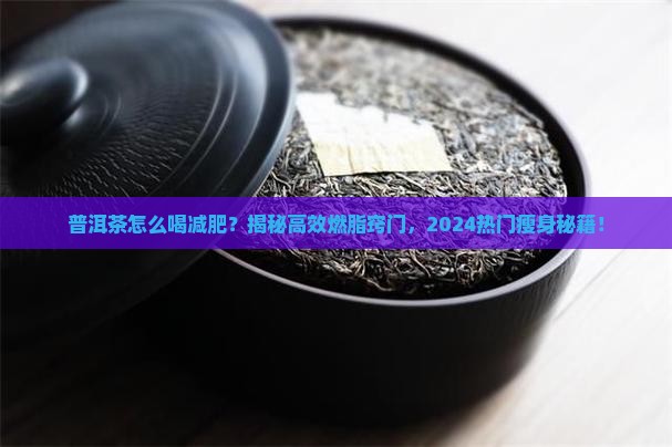 普洱茶怎么喝减肥食谱窍门