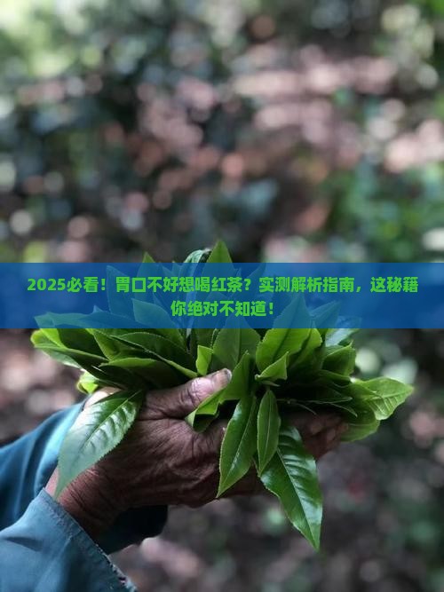 胃口不好可以喝红茶吗