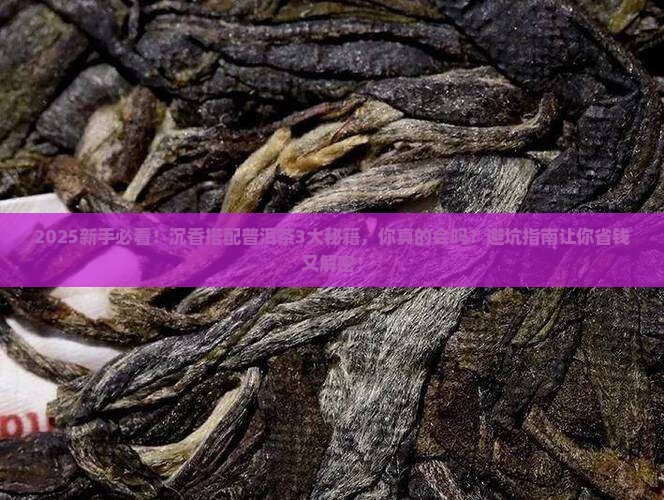沉香搭配普洱茶