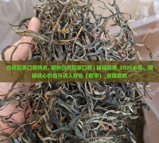 白鸡冠茶口感特点
