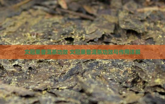 文冠果普洱茶功效